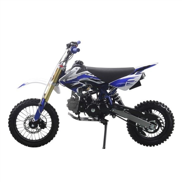 125cc pit bike 2