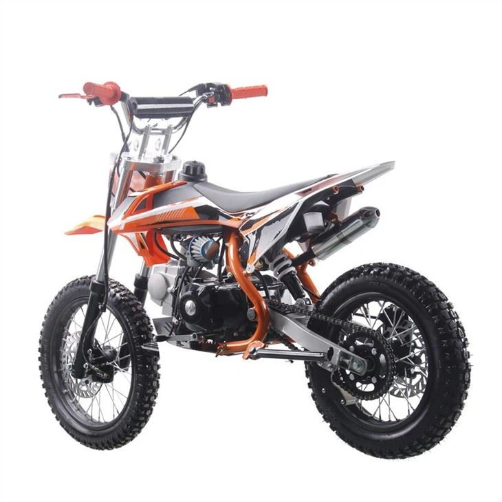 125cc pit bike (1)