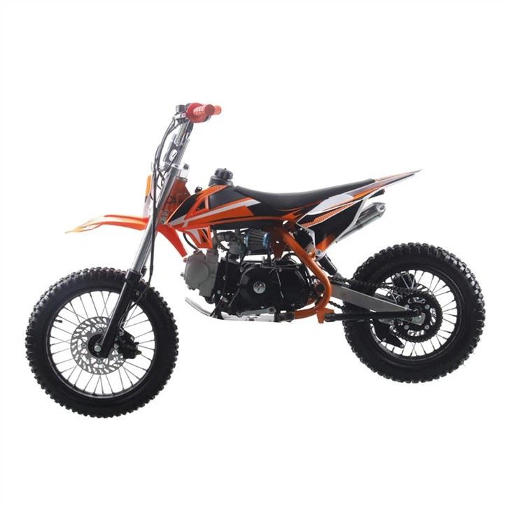 125cc pit bike (5)